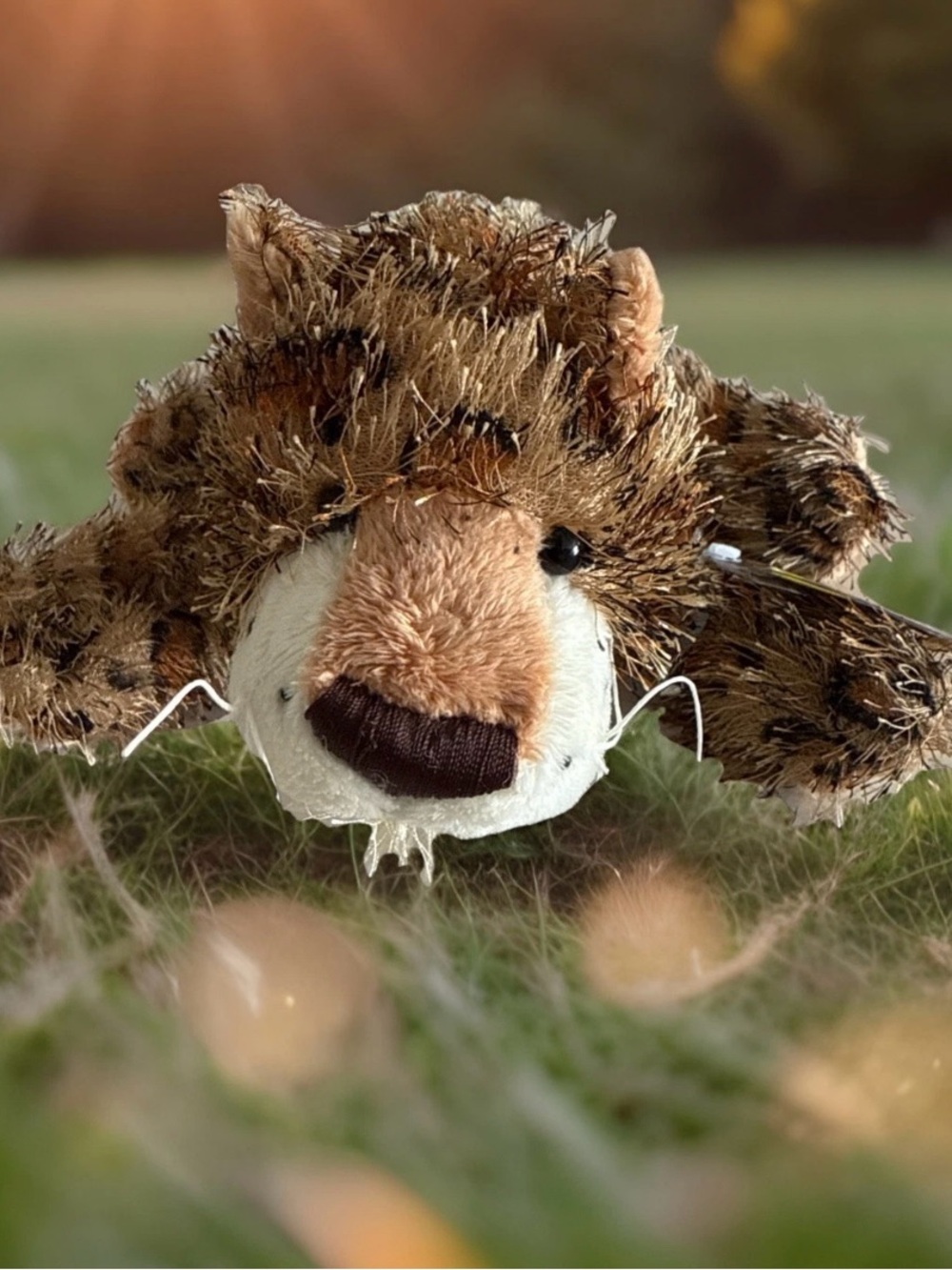 Ganz Webkinz Leopard Brown Plush Unused Code New